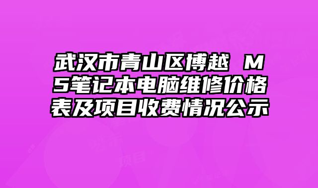武漢市青山區博越 M5筆記本電腦維修價格表及項目收費情況公示