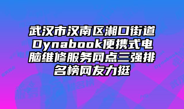 武漢市漢南區湘口街道Dynabook便攜式電腦維修服務網點三強排名榜網友力挺