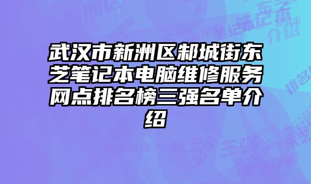 武漢市新洲區邾城街東芝筆記本電腦維修服務網點排名榜三強名單介紹