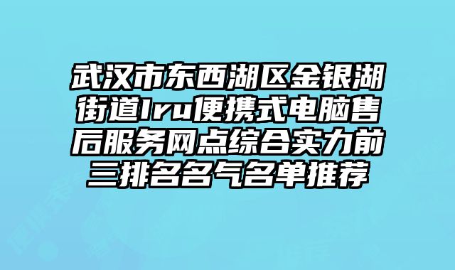 武漢市東西湖區(qū)金銀湖街道Iru便攜式電腦售后服務(wù)網(wǎng)點綜合實力前三排名名氣名單推薦