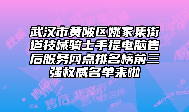武漢市黃陂區姚家集街道技械騎士手提電腦售后服務網點排名榜前三強權威名單來啦