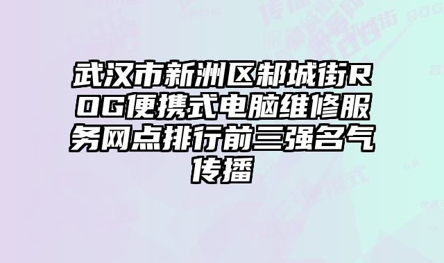 武漢市新洲區(qū)邾城街ROG便攜式電腦維修服務網(wǎng)點排行前三強名氣傳播