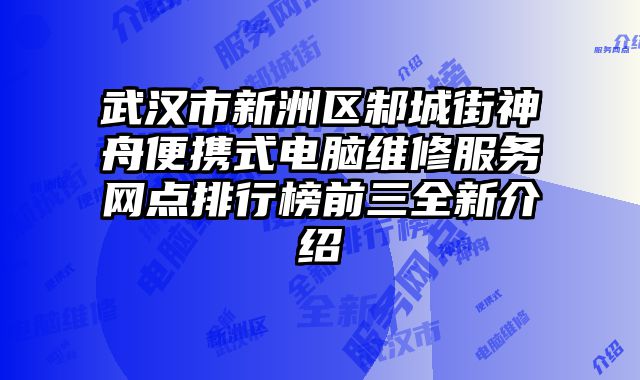 武漢市新洲區邾城街神舟便攜式電腦維修服務網點排行榜前三全新介紹