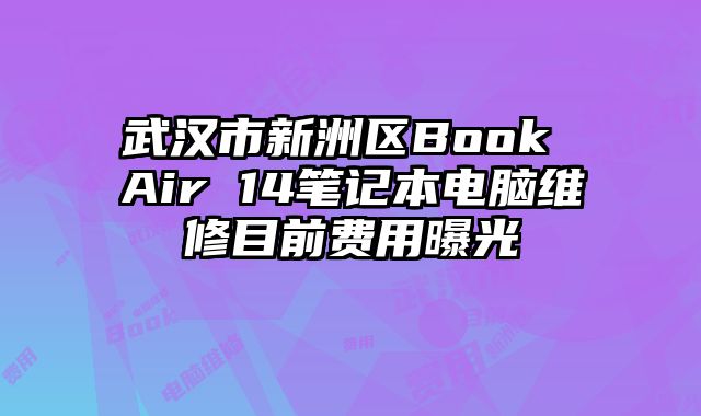 武漢市新洲區(qū)Book Air 14筆記本電腦維修目前費用曝光