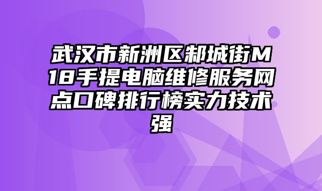 武漢市新洲區邾城街M18手提電腦維修服務網點口碑排行榜實力技術強