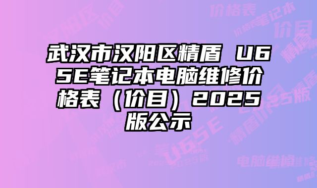 武漢市漢陽區精盾 U65E筆記本電腦維修價格表（價目）2025版公示