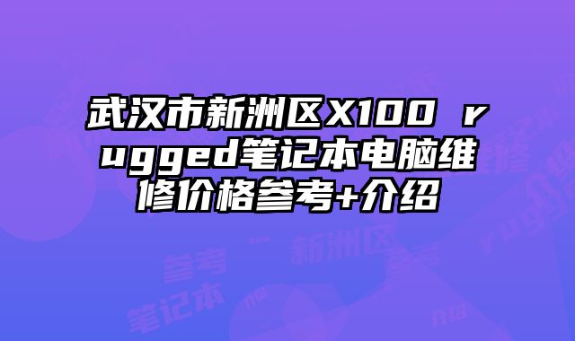 武漢市新洲區X100 rugged筆記本電腦維修價格參考+介紹