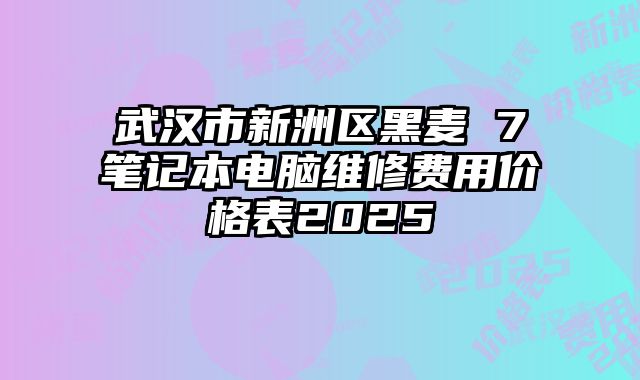 武漢市新洲區黑麥 7筆記本電腦維修費用價格表2025