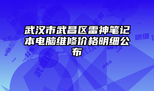武漢市武昌區雷神筆記本電腦維修價格明細公布