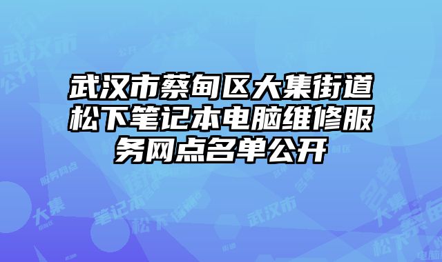 武漢市蔡甸區(qū)大集街道松下筆記本電腦維修服務(wù)網(wǎng)點(diǎn)名單公開(kāi)