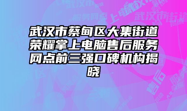 武漢市蔡甸區大集街道榮耀掌上電腦售后服務網點前三強口碑機構揭曉
