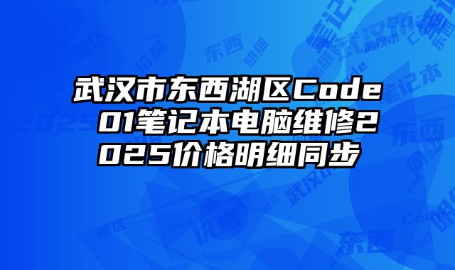 武漢市東西湖區(qū)Code 01筆記本電腦維修2025價格明細同步