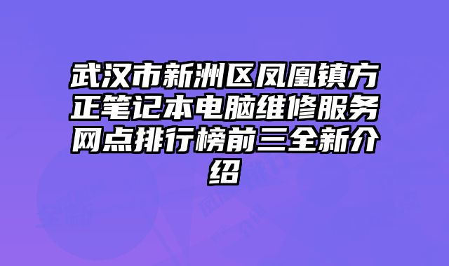 武漢市新洲區鳳凰鎮方正筆記本電腦維修服務網點排行榜前三全新介紹