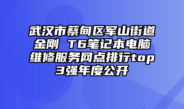 武漢市蔡甸區(qū)軍山街道金剛 T6筆記本電腦維修服務(wù)網(wǎng)點(diǎn)排行top3強(qiáng)年度公開(kāi)