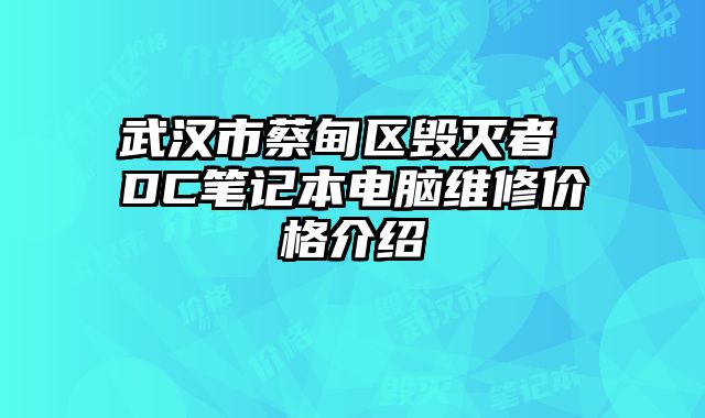 武漢市蔡甸區毀滅者 DC筆記本電腦維修價格介紹