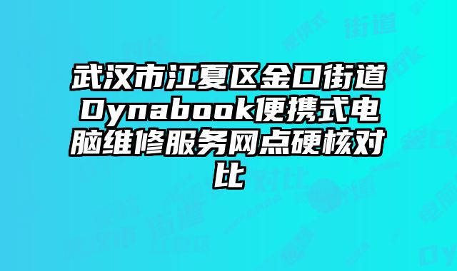 武漢市江夏區金口街道Dynabook便攜式電腦維修服務網點硬核對比