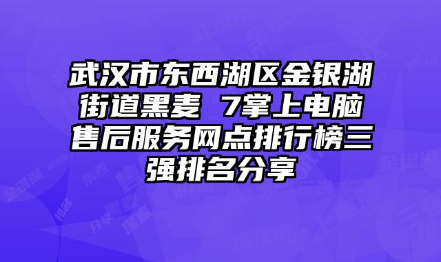 武漢市東西湖區金銀湖街道黑麥 7掌上電腦售后服務網點排行榜三強排名分享