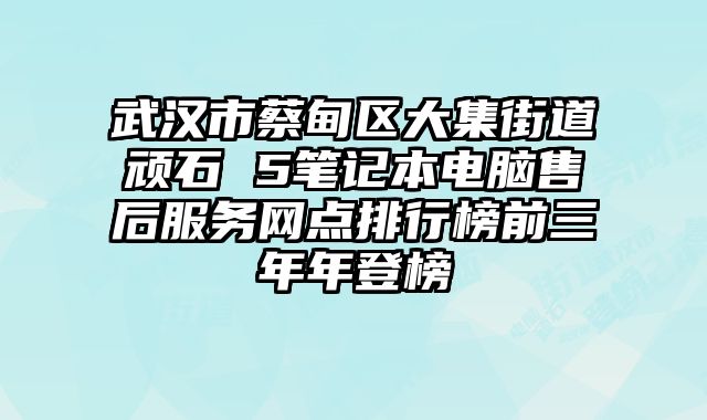 武漢市蔡甸區大集街道頑石 5筆記本電腦售后服務網點排行榜前三年年登榜