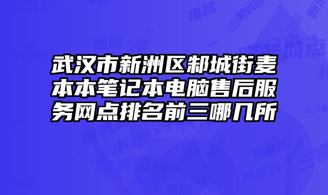 武漢市新洲區邾城街麥本本筆記本電腦售后服務網點排名前三哪幾所