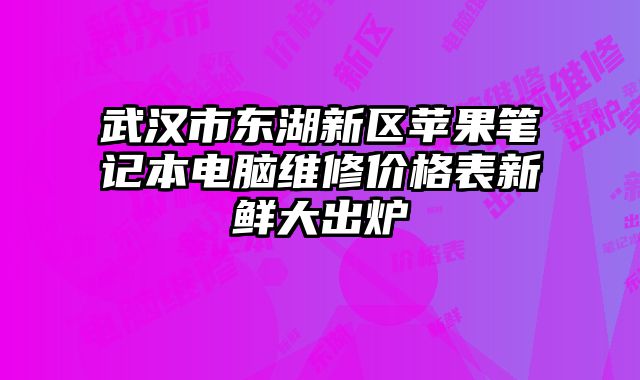 武漢市東湖新區蘋果筆記本電腦維修價格表新鮮大出爐