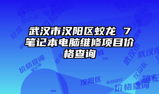 武漢市漢陽區蛟龍 7筆記本電腦維修項目價格查詢