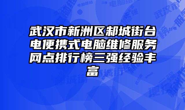 武漢市新洲區(qū)邾城街臺電便攜式電腦維修服務(wù)網(wǎng)點(diǎn)排行榜三強(qiáng)經(jīng)驗(yàn)豐富