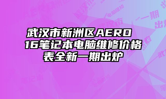 武漢市新洲區AERO 16筆記本電腦維修價格表全新一期出爐