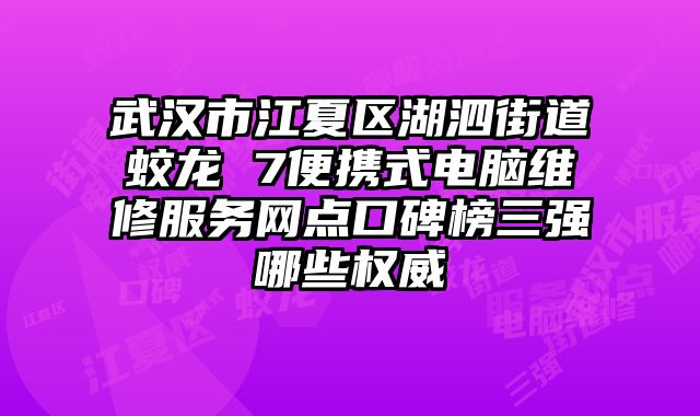 武漢市江夏區湖泗街道蛟龍 7便攜式電腦維修服務網點口碑榜三強哪些權威