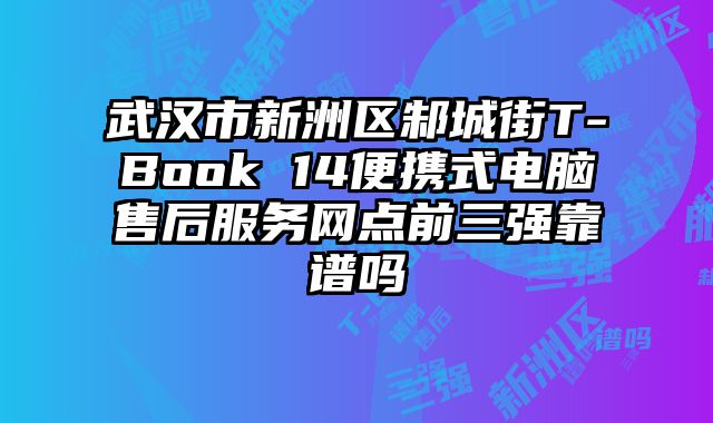 武漢市新洲區邾城街T-Book 14便攜式電腦售后服務網點前三強靠譜嗎