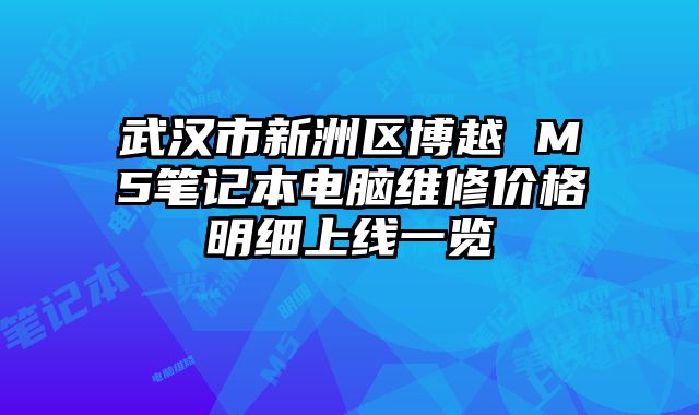 武漢市新洲區博越 M5筆記本電腦維修價格明細上線一覽