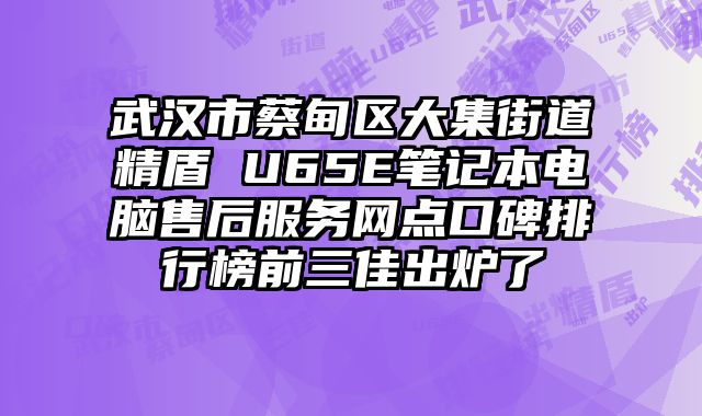 武漢市蔡甸區大集街道精盾 U65E筆記本電腦售后服務網點口碑排行榜前三佳出爐了