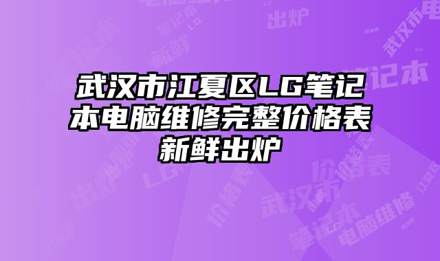 武漢市江夏區(qū)LG筆記本電腦維修完整價(jià)格表新鮮出爐