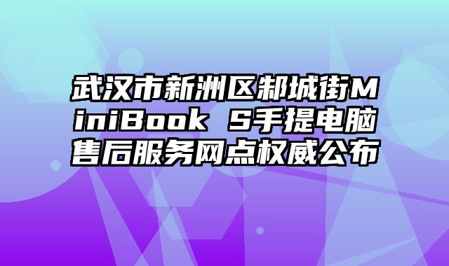 武漢市新洲區(qū)邾城街MiniBook S手提電腦售后服務(wù)網(wǎng)點(diǎn)權(quán)威公布