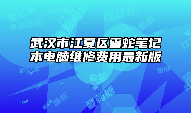 武漢市江夏區(qū)雷蛇筆記本電腦維修費(fèi)用最新版