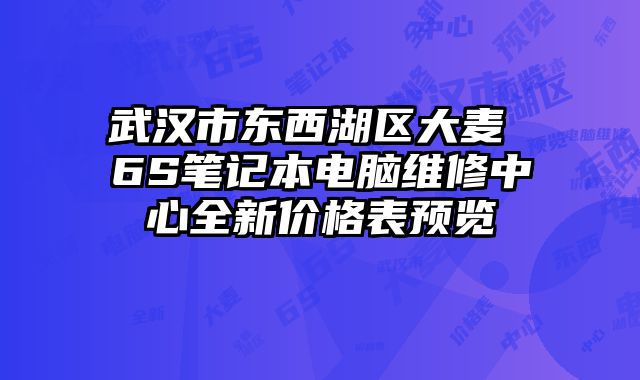武漢市東西湖區(qū)大麥 6S筆記本電腦維修中心全新價格表預覽