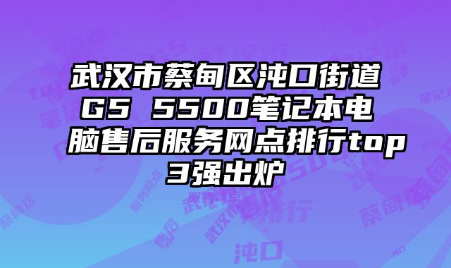 武漢市蔡甸區(qū)沌口街道G5 5500筆記本電腦售后服務(wù)網(wǎng)點(diǎn)排行top3強(qiáng)出爐