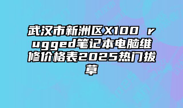 武漢市新洲區X100 rugged筆記本電腦維修價格表2025熱門拔草