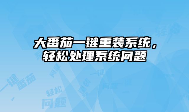 大番茄一鍵重裝系統，輕松處理系統問題