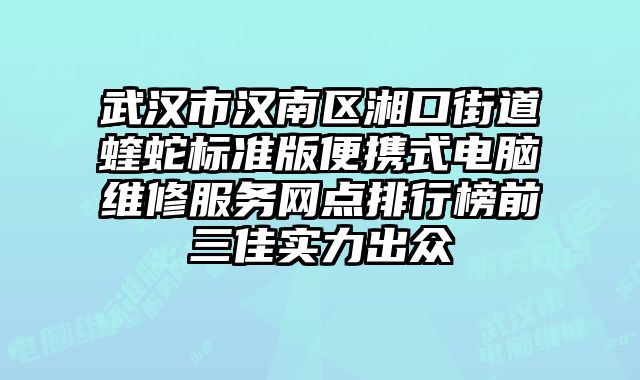 武漢市漢南區湘口街道蝰蛇標準版便攜式電腦維修服務網點排行榜前三佳實力出眾