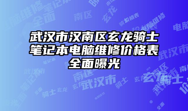 武漢市漢南區(qū)玄龍騎士筆記本電腦維修價(jià)格表全面曝光