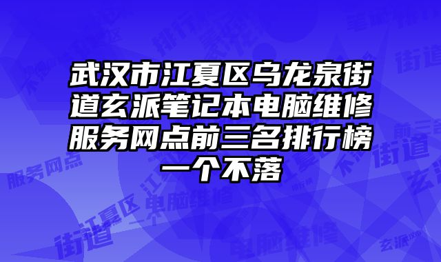 武漢市江夏區烏龍泉街道玄派筆記本電腦維修服務網點前三名排行榜一個不落
