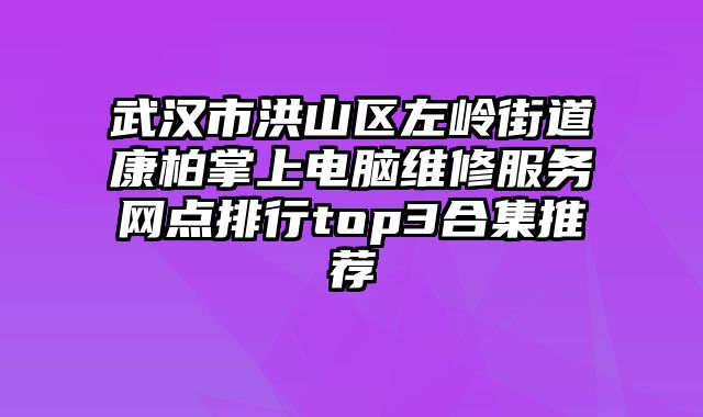 武漢市洪山區(qū)左嶺街道康柏掌上電腦維修服務(wù)網(wǎng)點(diǎn)排行top3合集推薦