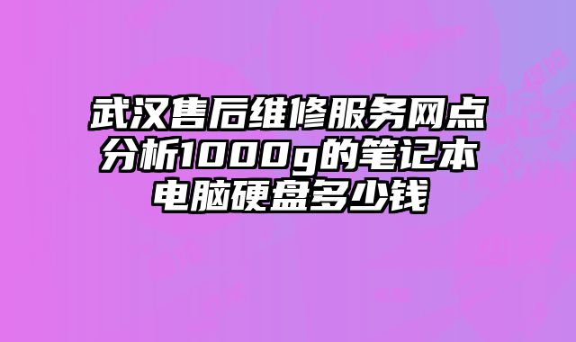 武漢售后維修服務網點分析1000g的筆記本電腦硬盤多少錢