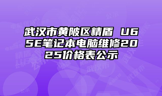 武漢市黃陂區精盾 U65E筆記本電腦維修2025價格表公示