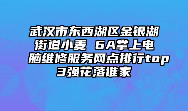 武漢市東西湖區金銀湖街道小麥 6A掌上電腦維修服務網點排行top3強花落誰家