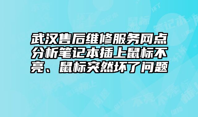 武漢售后維修服務(wù)網(wǎng)點分析筆記本插上鼠標(biāo)不亮、鼠標(biāo)突然壞了問題
