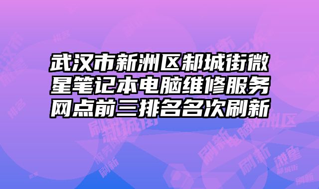 武漢市新洲區邾城街微星筆記本電腦維修服務網點前三排名名次刷新