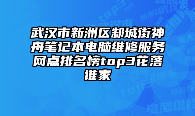武漢市新洲區邾城街神舟筆記本電腦維修服務網點排名榜top3花落誰家