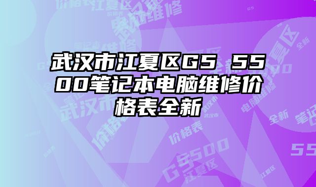 武漢市江夏區(qū)G5 5500筆記本電腦維修價格表全新