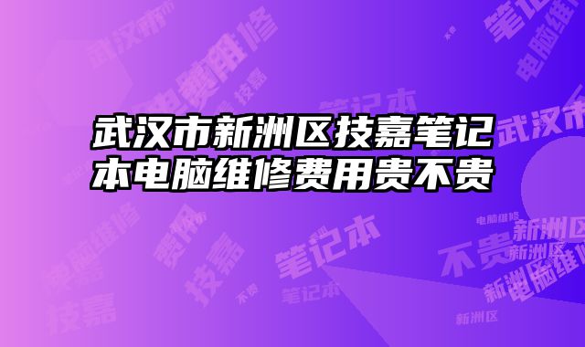 武漢市新洲區技嘉筆記本電腦維修費用貴不貴